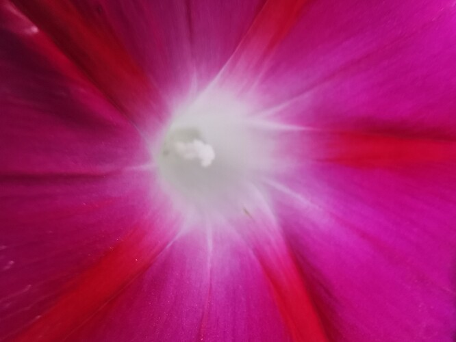 IMG_20190927_063738