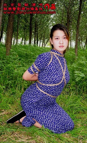 丹丹兰花旗袍011