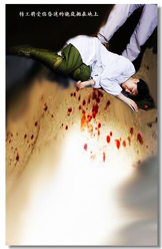 170017shfb1aii6b11rtir