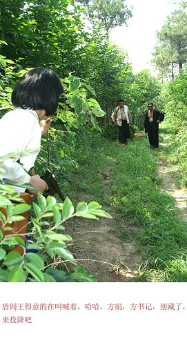 PICT7920