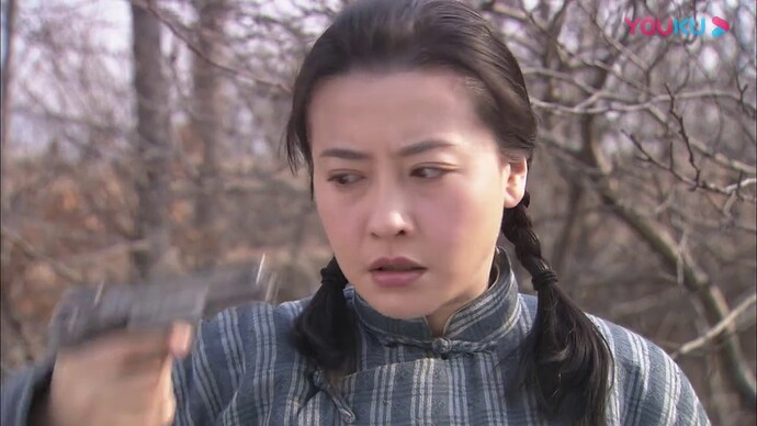 铁血战狼 33-普通话_超清00-20-3920200227-233130687