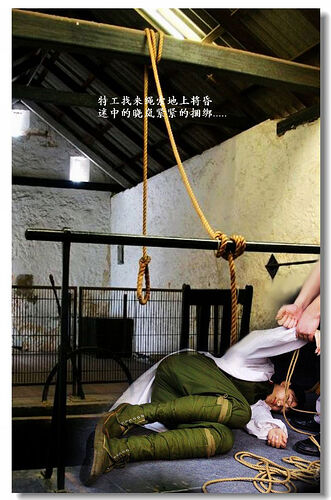 170019f2r2ztggsfaivg3v