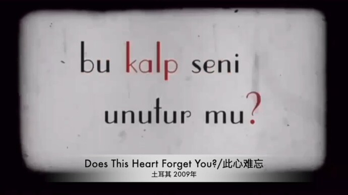 截屏2025-01-16 23.36.53