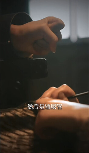 截屏2025-11-26 17.32.47