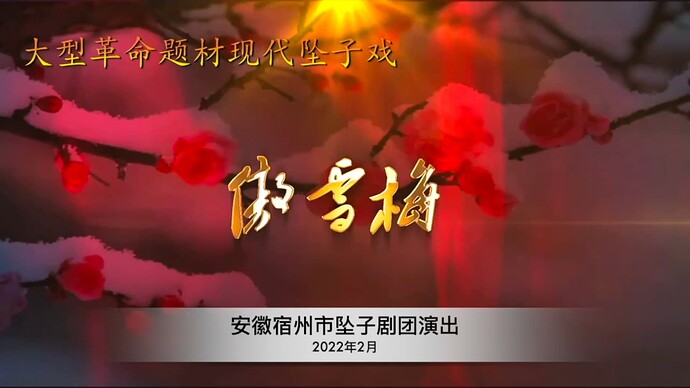安徽宿州市坠子剧团演出
