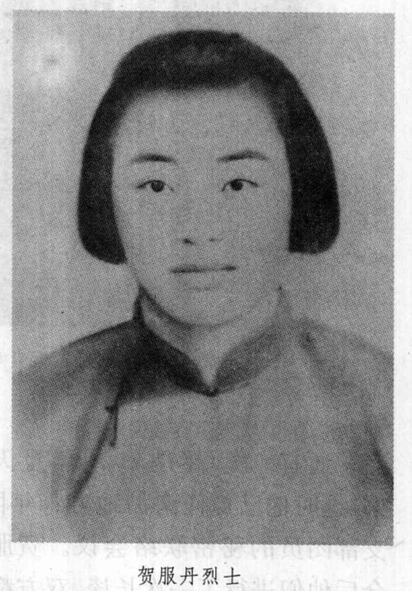 贺服丹