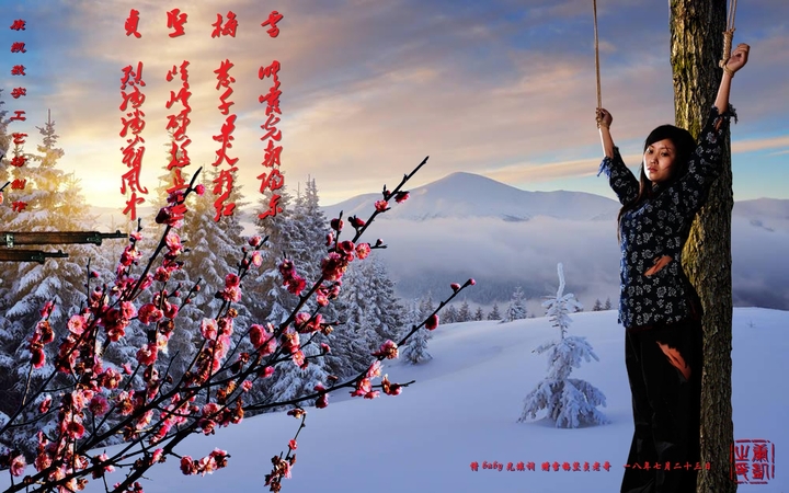 赠雪梅坚贞兄