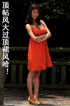 。顶帖风来了